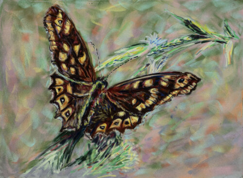 Borboleta par Ana Mouga, Dessin en vente sur Singulart