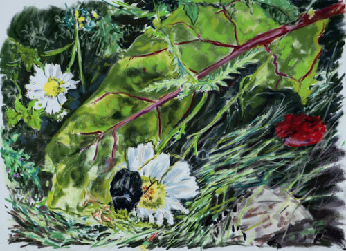 chafer beetle de Ana Mouga, Dibujo a la venta en Singulart