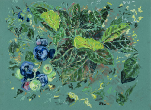 blueberries di Ana Mouga, Disegno in vendita su Singulart