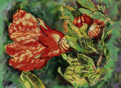 Pomegranate flower di Ana Mouga, Disegno in vendita su Singulart