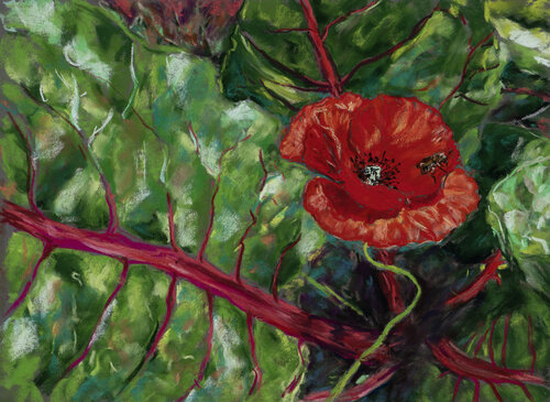 Solitary bee flying out of a poppy by Ana Mouga, 소묘 for Sale on Singulart