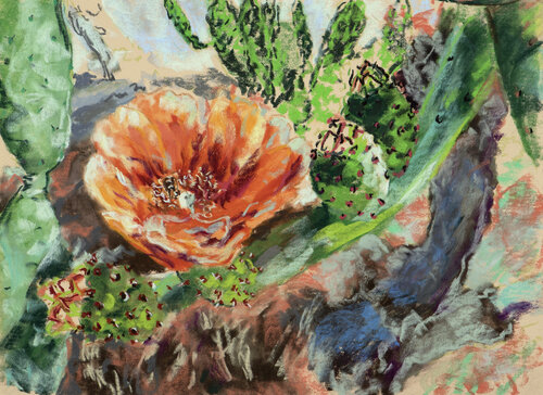 Honey bee in prickly pear flower by Ana Mouga, 소묘 for Sale on Singulart