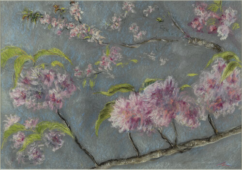 Cherry blossom von Ana Mouga, Malerei kaufen auf Singulart