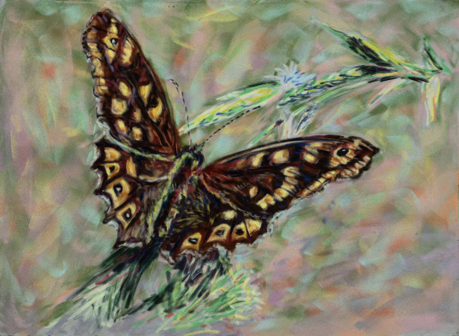 Borboleta Ana Mouga