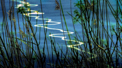 Frisson de lune von VANVI, Fotografie kaufen auf Singulart