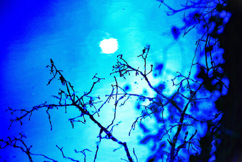 Mémoire calcinée sous un soleil tremblant von VANVI, Fotografie kaufen auf Singulart