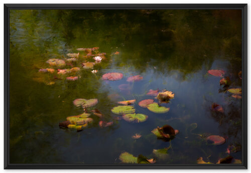 Les nénuphars : effet du soleil van Fan LI, Fotografie te koop op Singulart