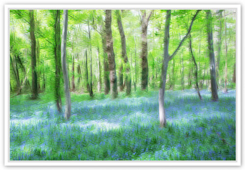 Printemps en bleu Fan LI