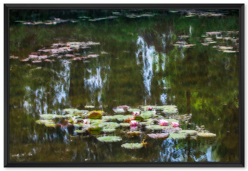 Les nénuphars : effet du reflet Fan LI