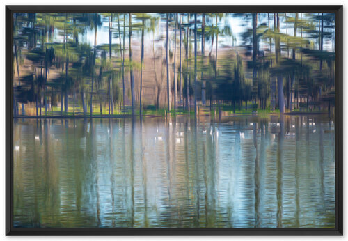 Lac pins et mouettes Fan LI