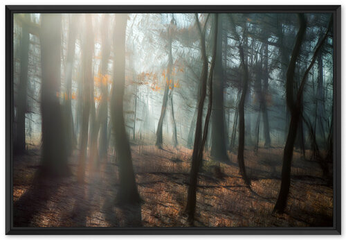 Brume en forêt Fan LI