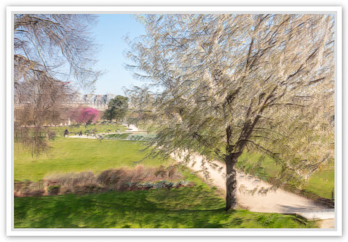 Printemps à Paris, Jardin de Tuileries, 2 van Fan LI, Fotografie te koop op Singulart