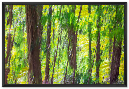 La forêt de chênes van Fan LI, Fotografie te koop op Singulart