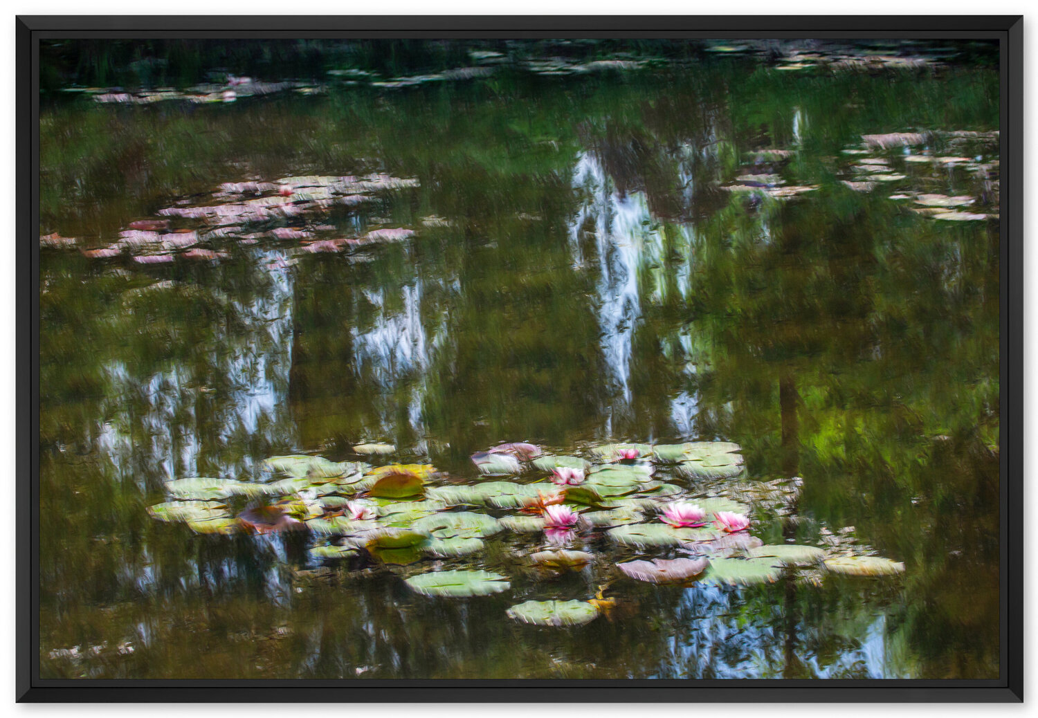 Les nénuphars : effet du reflet Fan LI