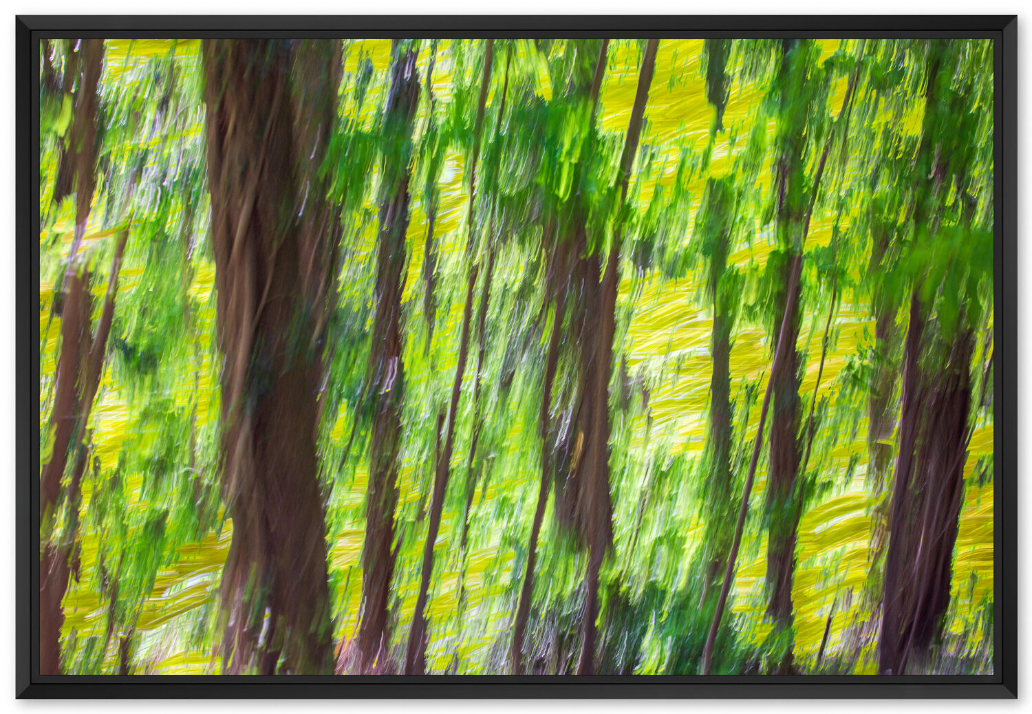 La forêt de chênes Fan LI