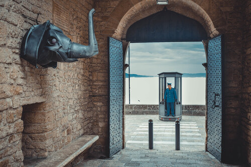 Elephant by Lisa Evteeva, Photography for Sale on Singulart