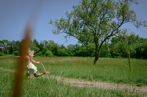 FlyAugust#1 by Lisa Evteeva, 사진 for Sale on Singulart