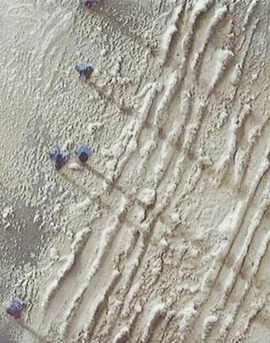 Témoins von Jean pierre Etienne, Malerei kaufen auf Singulart