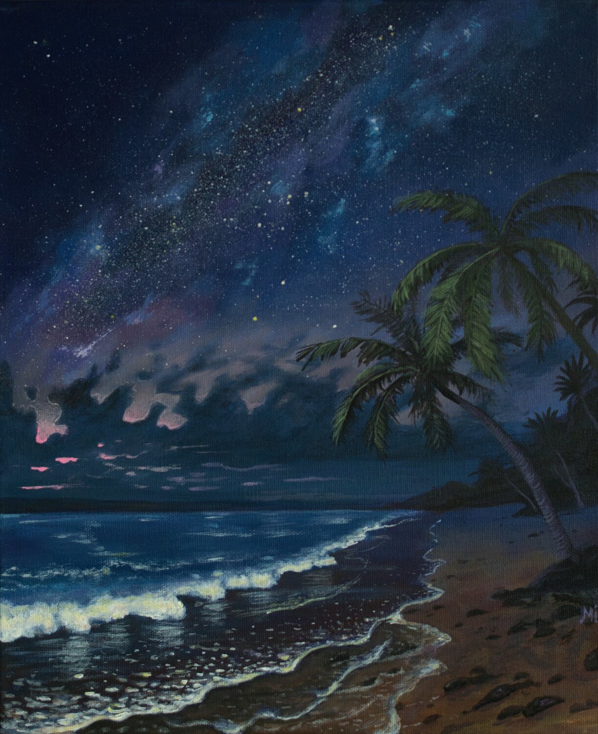 Nuit sous les tropiques Mikel Richard