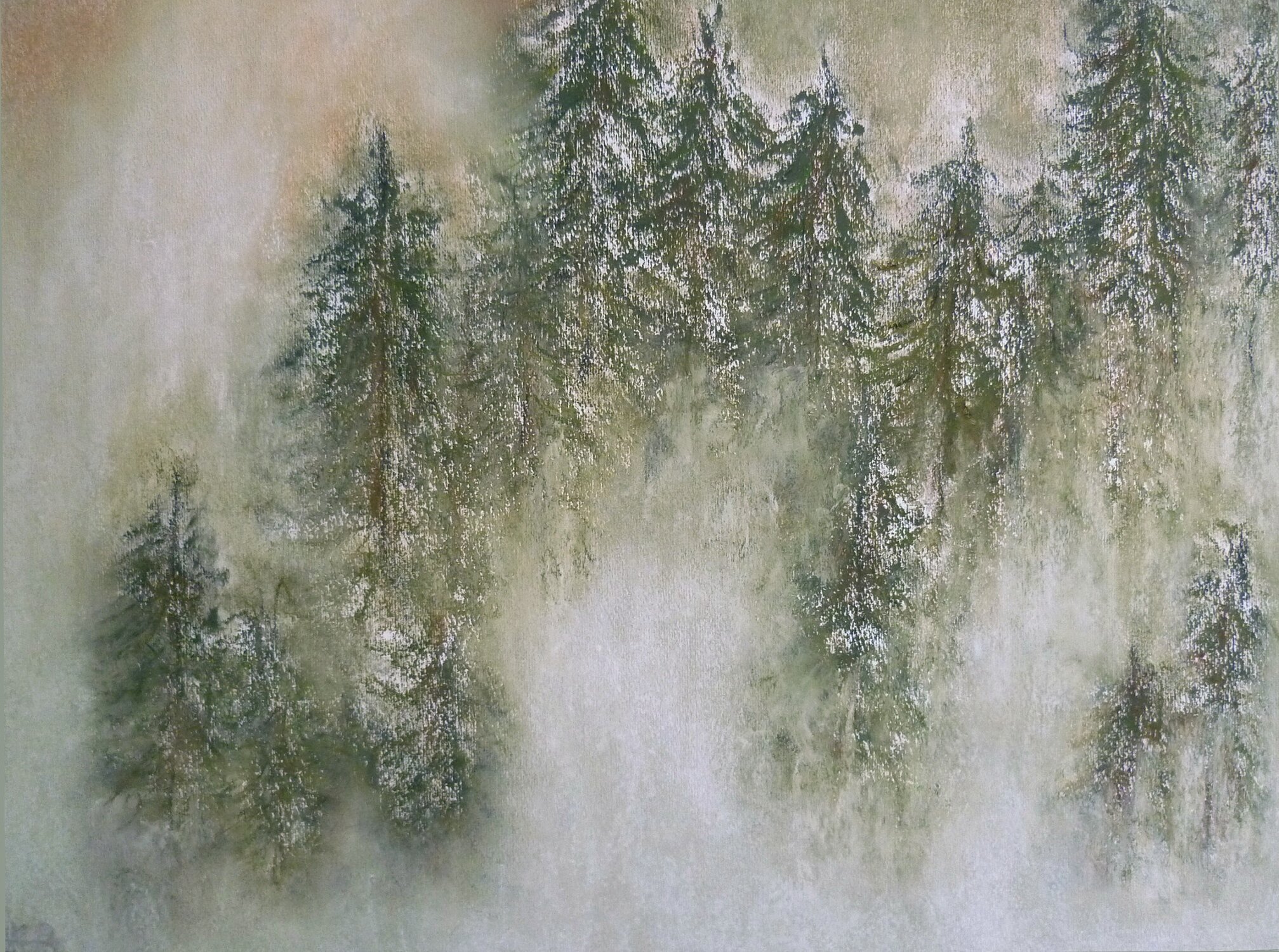 Quello che vidi nel bosco