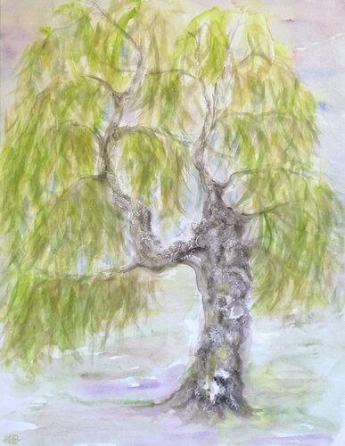 Zeit des Sommers ; Birke im frühen Licht by Annachrista Kroll-Buchholz, Work on Paper for Sale on Singulart