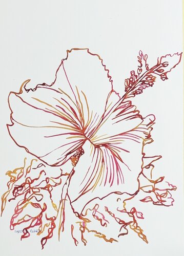 Sunlit Hibiscus 517176 van Christine Beard, Schilderij te koop op Singulart