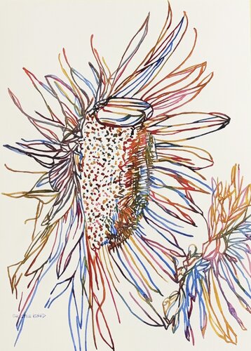 Wild Sunflower 517215 van Christine Beard, Schilderij te koop op Singulart