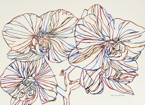 Lines in Bloom 517333 van Christine Beard, Schilderij te koop op Singulart