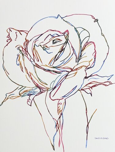 Rose Study 517355 van Christine Beard, Schilderij te koop op Singulart