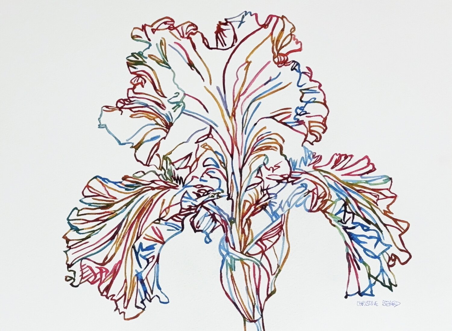 Unfurl 517126 Christine Beard
