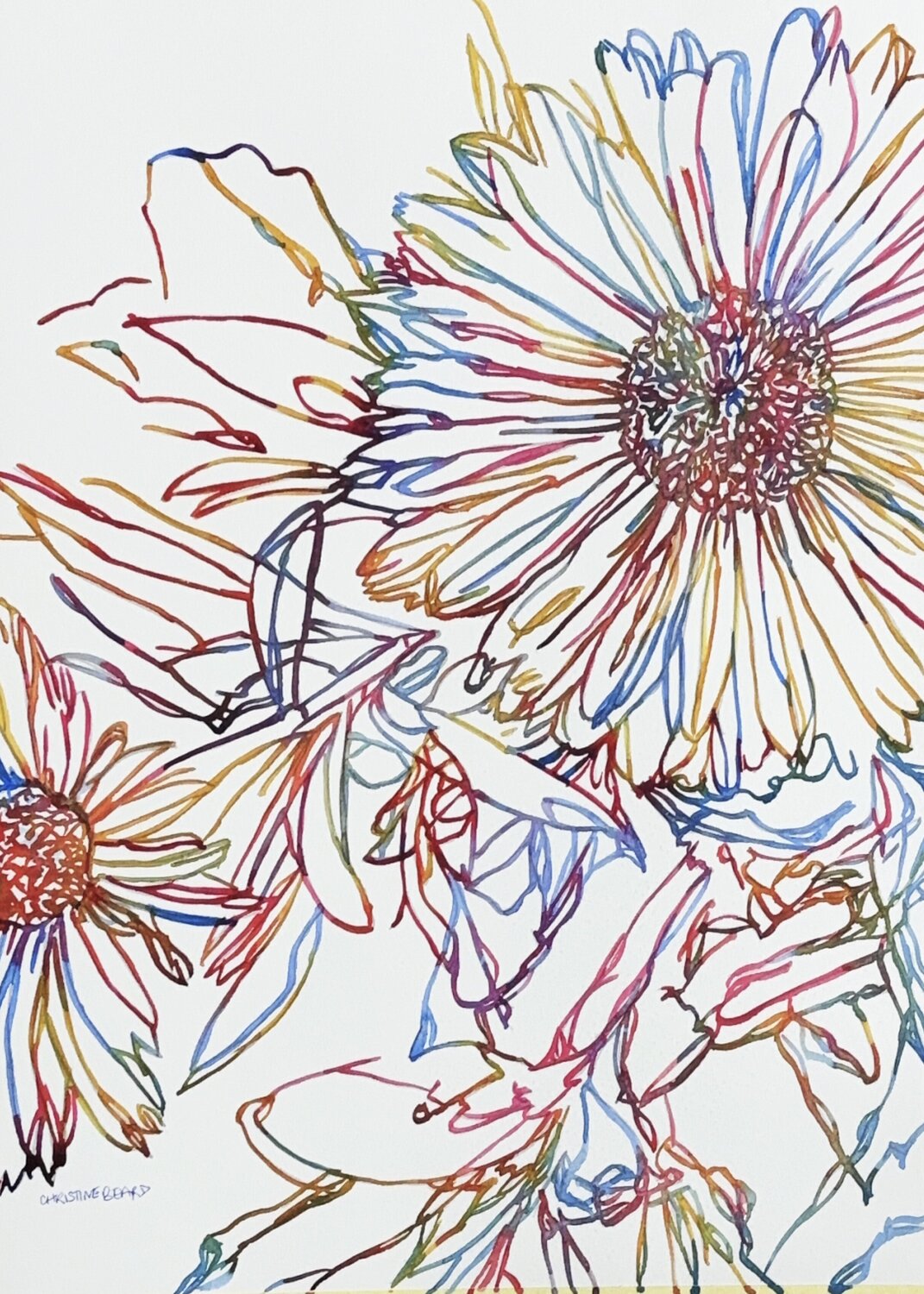 Held in the Breeze 517150 Christine Beard