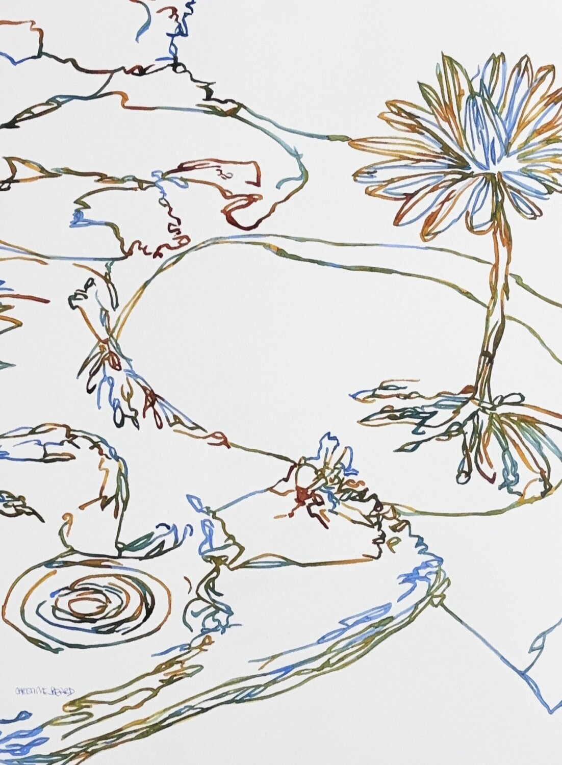 Driftline 517152 Christine Beard