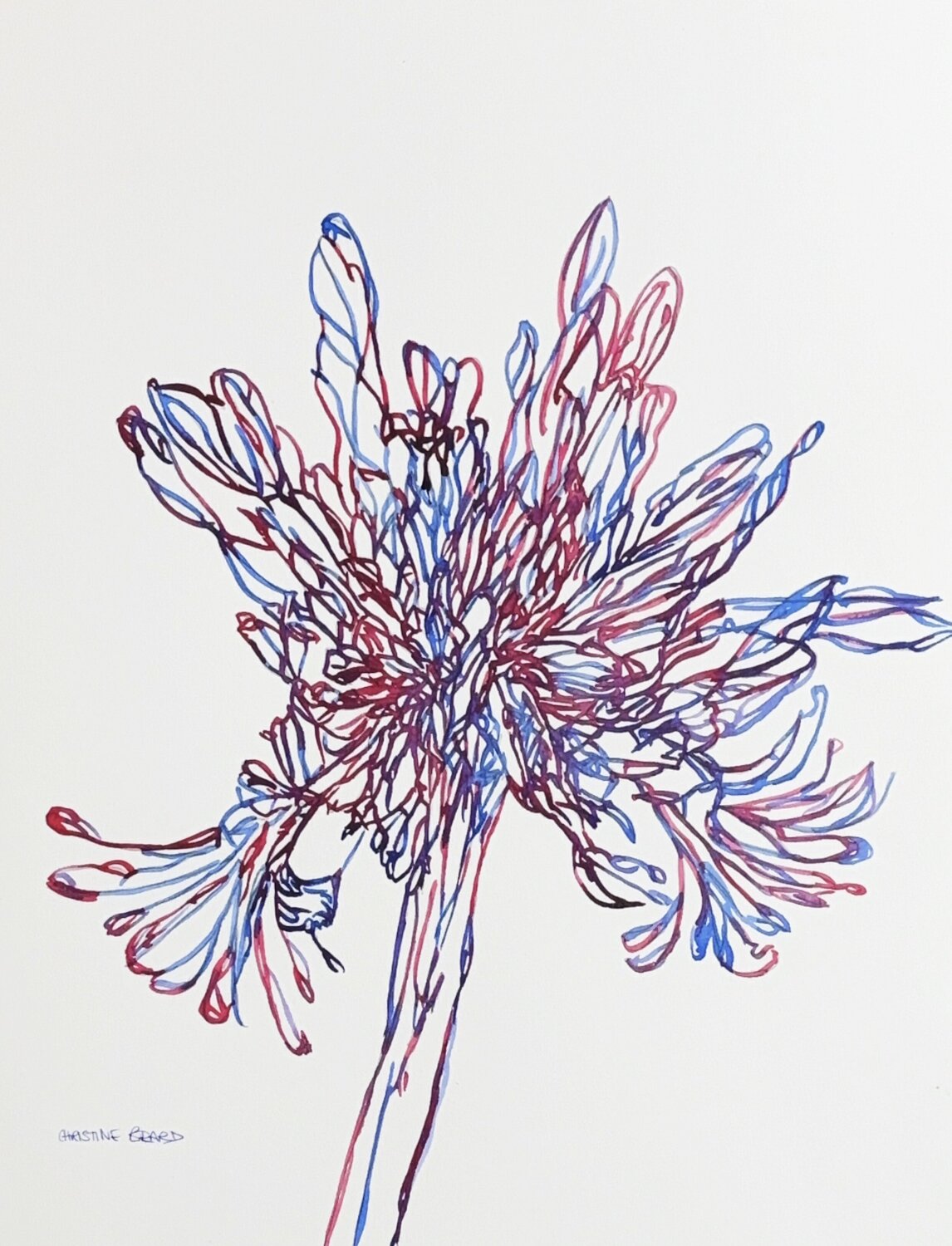 Crimson and Cobalt 517159 Christine Beard