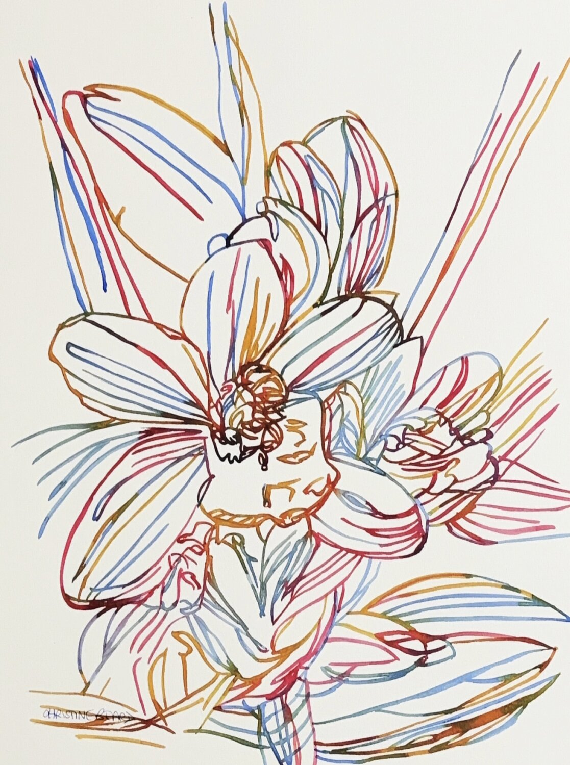 Blooming Column 517173 Christine Beard