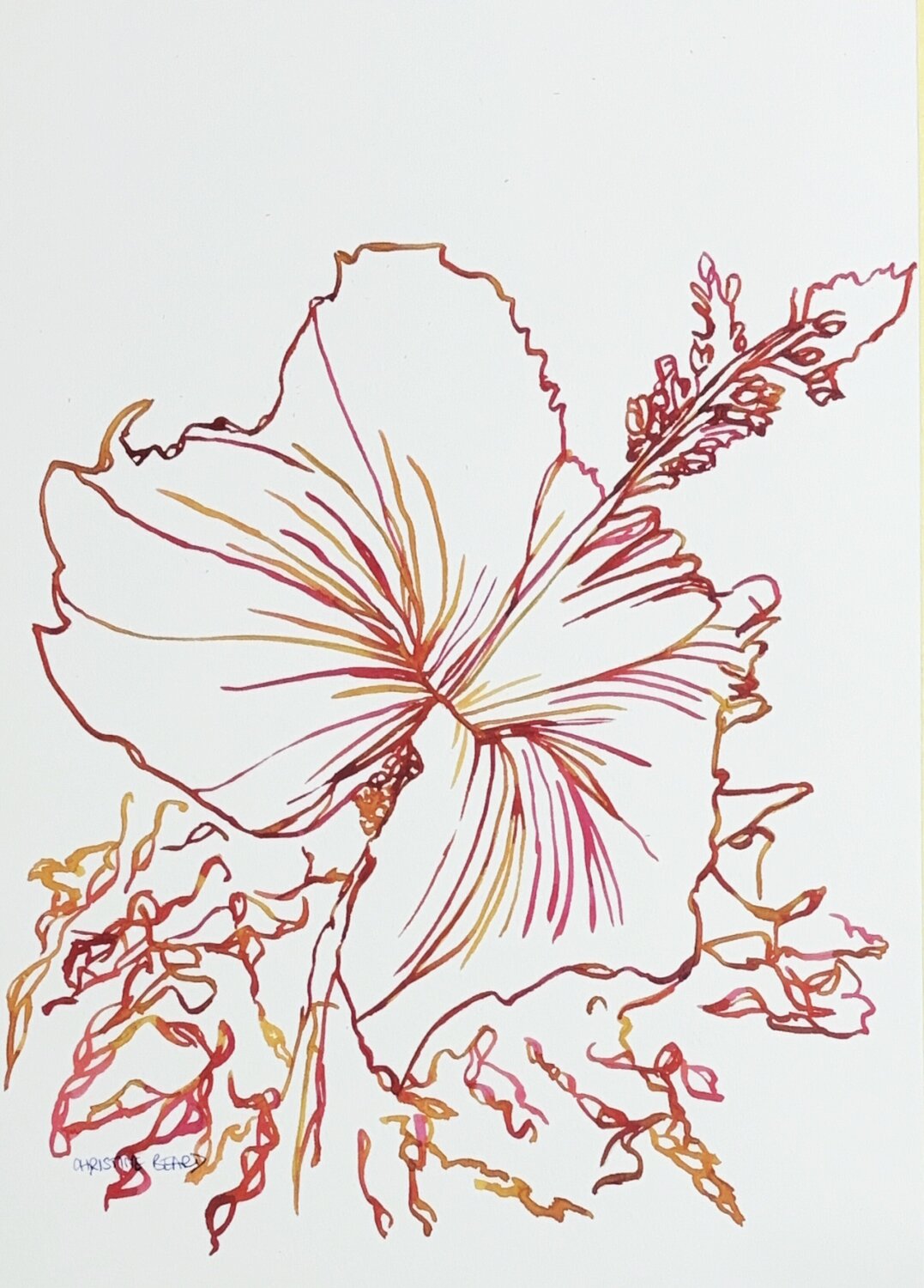 Sunlit Hibiscus 517176 Christine Beard