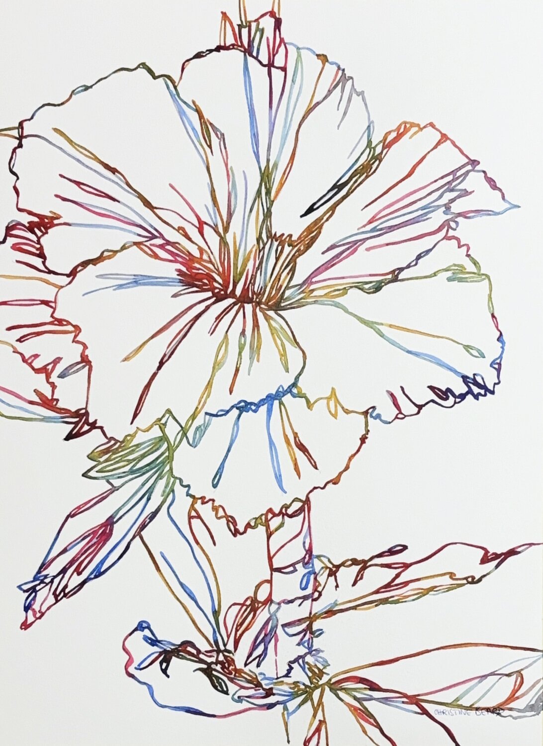 Where Colour Begins 517201 Christine Beard