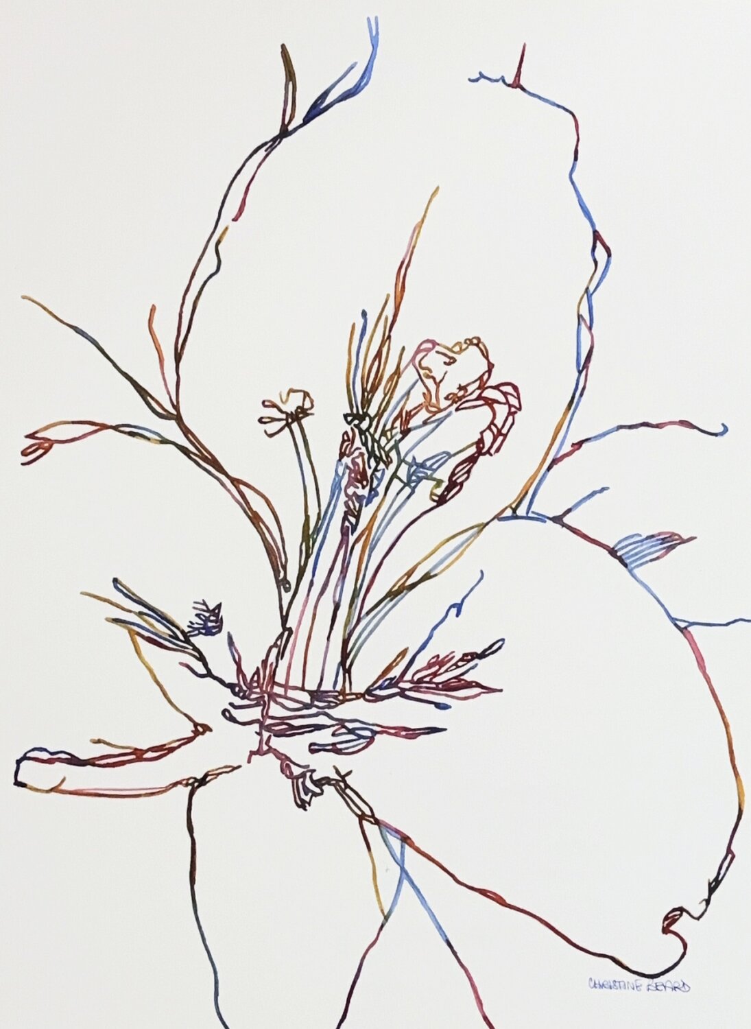 Petal Form 517395 Christine Beard