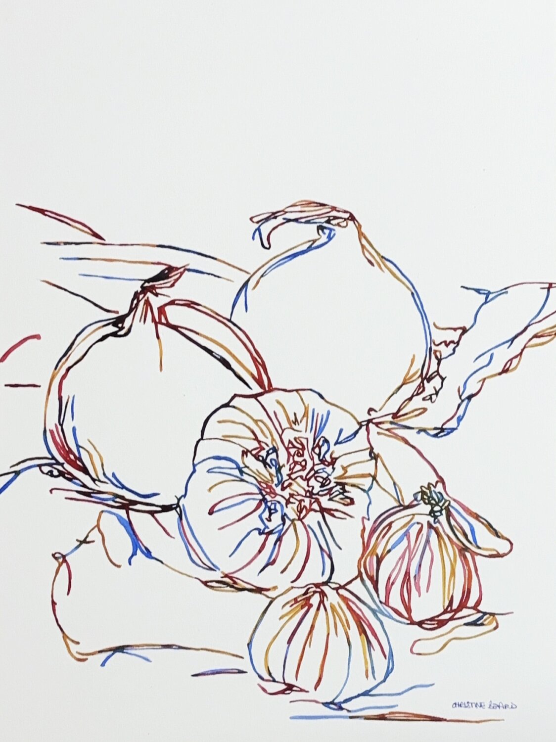 Garlic Study 51739 Christine Beard