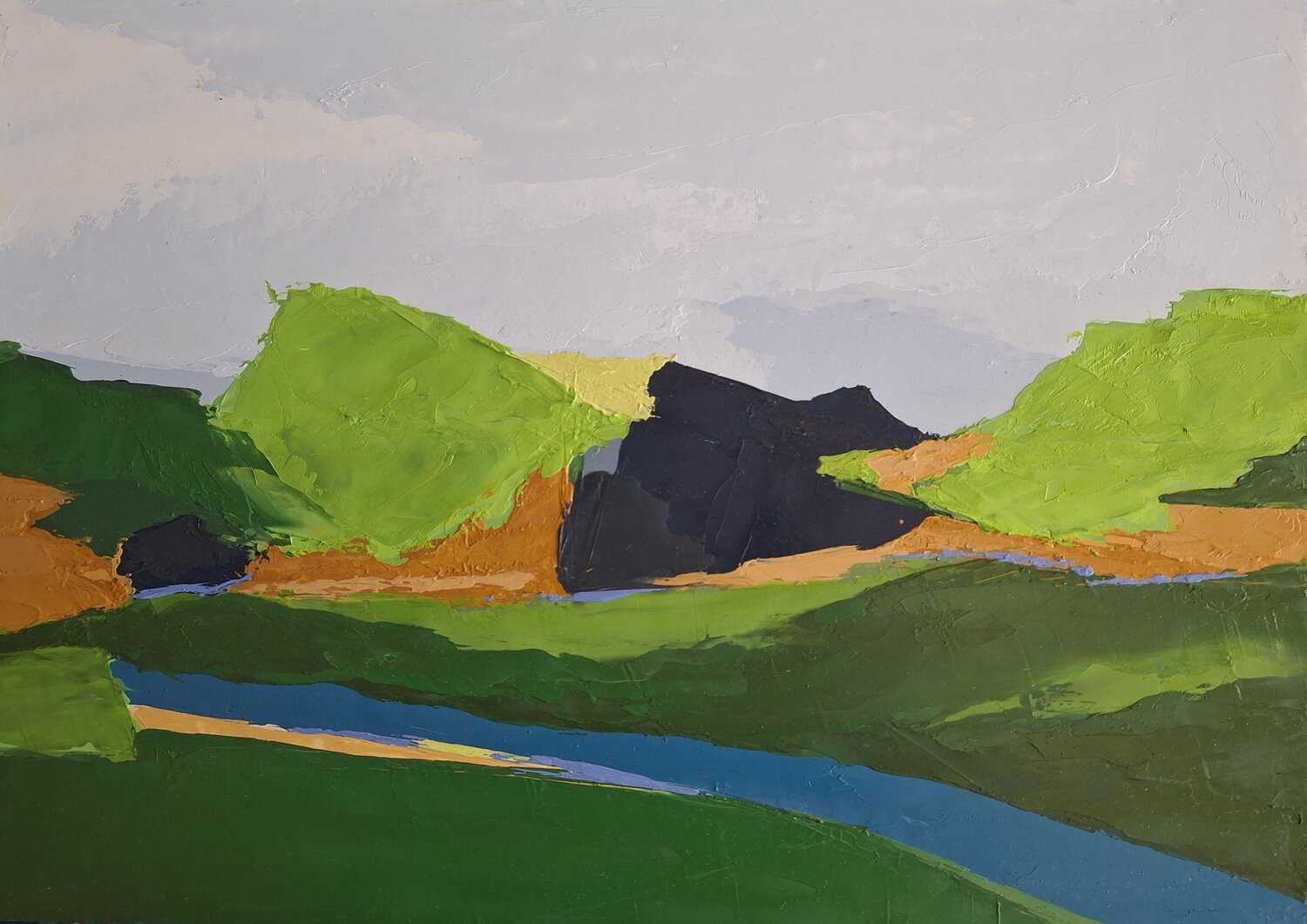 Spring Blossoming Maria Joao Gamito