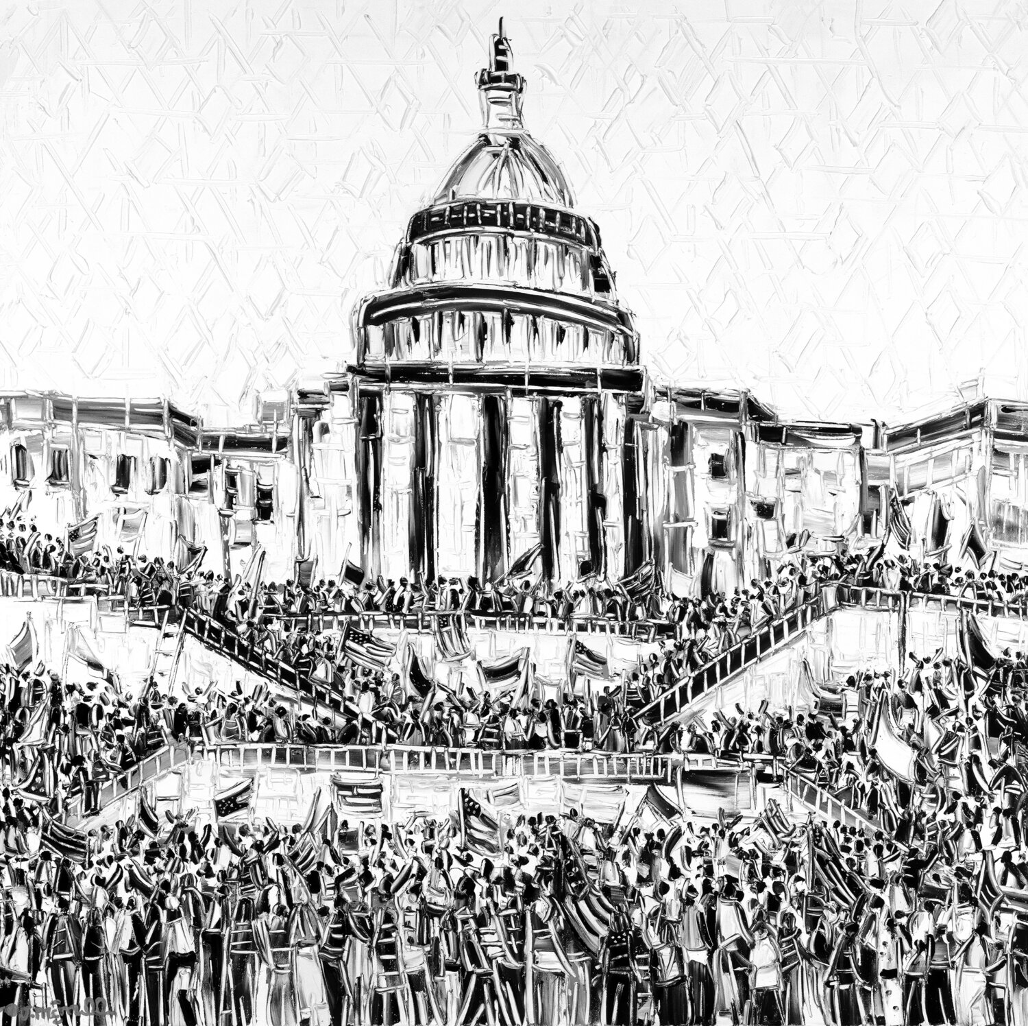 Capitol Take Over Joachim McMillan