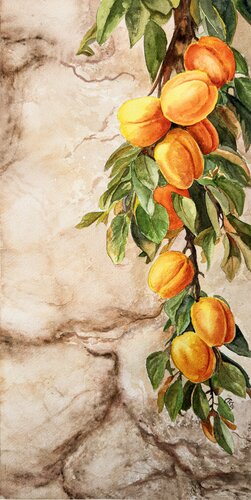 Whispers Through the Wall – Apricots von Irina Kurganskaya, Malerei kaufen auf Singulart