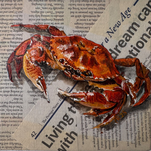 Headline Catch: The Red Crab von Irina Kurganskaya, Malerei kaufen auf Singulart