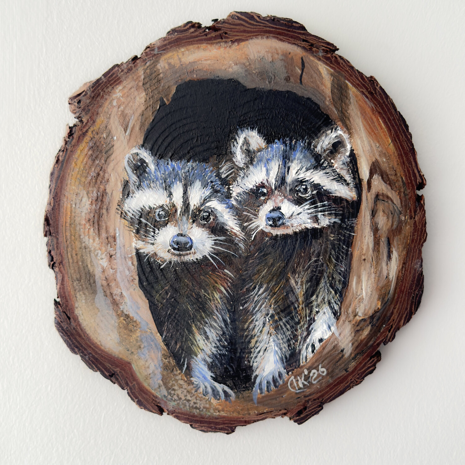 Curious Raccoons Irina Kurganskaya