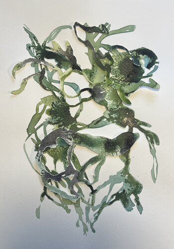 GEDANKENGEWÄCHS 8 by Sabine Hilscher, Work on Paper for Sale on Singulart