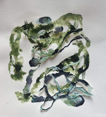 GEDANKENGEWÄCHS 5 by Sabine Hilscher, Work on Paper for Sale on Singulart