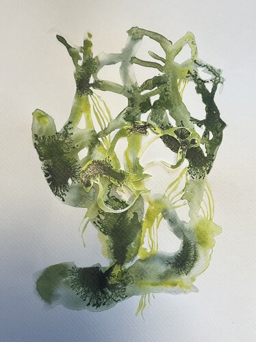 GEDANKENGEWÄCHS 17 by Sabine Hilscher, Work on Paper for Sale on Singulart