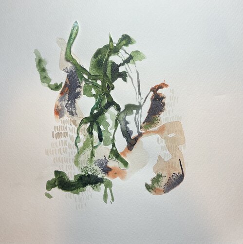 GEDANKENGEWÄCHS 27 by Sabine Hilscher, Work on Paper for Sale on Singulart