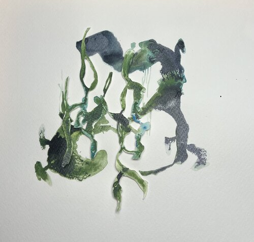 GEDANKENGEWÄCHS 28 van Sabine Hilscher, Werk op papier te koop op Singulart