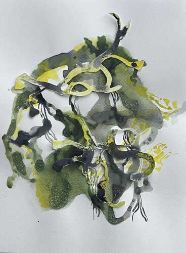 GEDANKENGEWÄCHS 12 by Sabine Hilscher, Work on Paper for Sale on Singulart