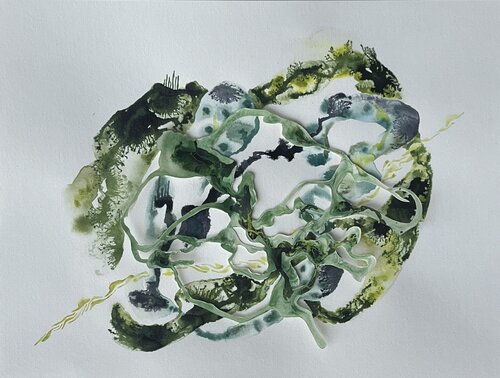 GEDANKENGEWÄCHS 14 by Sabine Hilscher, Work on Paper for Sale on Singulart